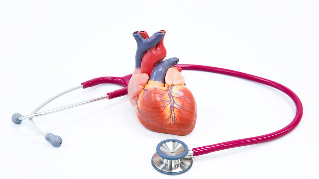 Día Mundial del Corazón: Hábitos que ayudan a proteger tu salud cardiovascular