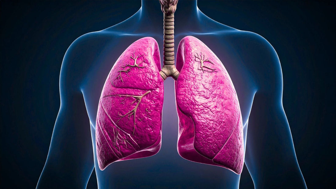Día del Cáncer de Pulmón: Respira salud