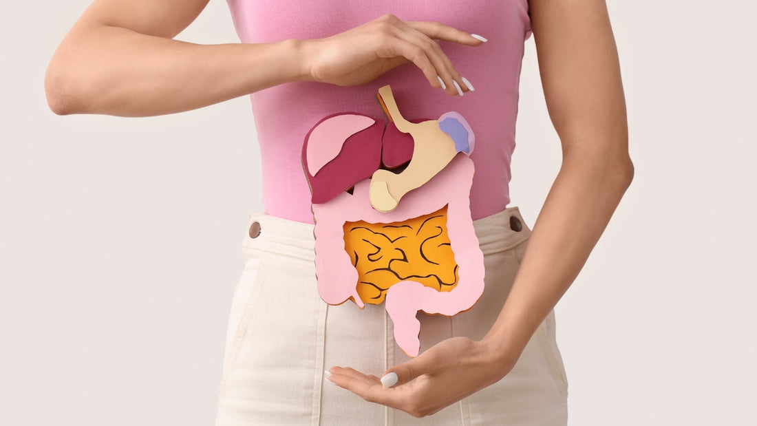 Equilibrio para tu Salud Digestiva