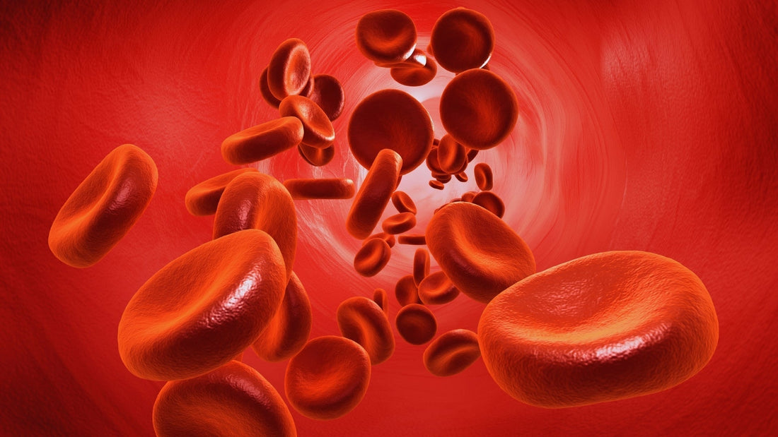 ¿Qué es la enfermedad de células falciformes y cómo se diagnostica?
