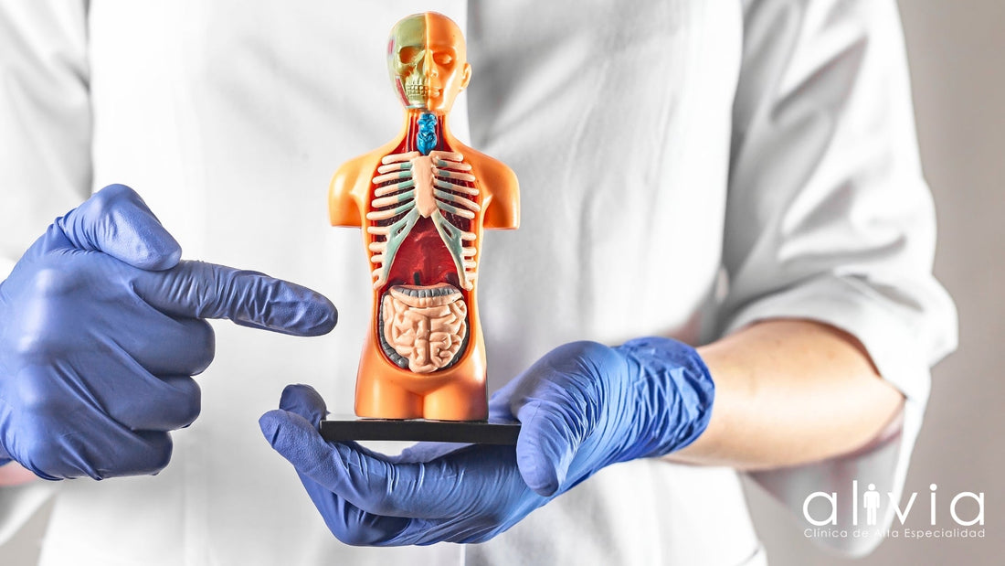 ¿Qué son las Enfermedades Inflamatorias Intestinales?