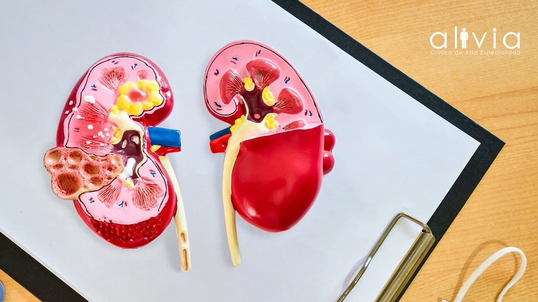 Insuficiencia renal crónica: etapas y cuidados