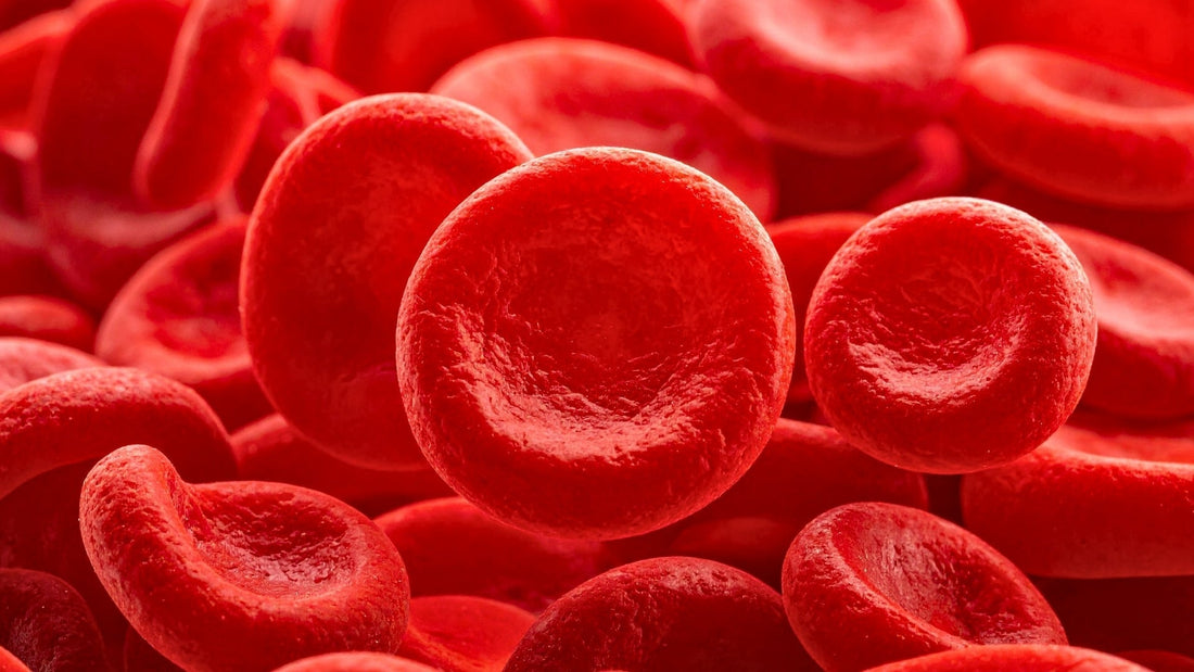 ¿Qué es el cáncer hematológico y cuáles son sus tipos?
