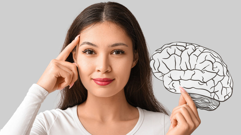 Cerebro activo, Cuerpo en Equilibrio