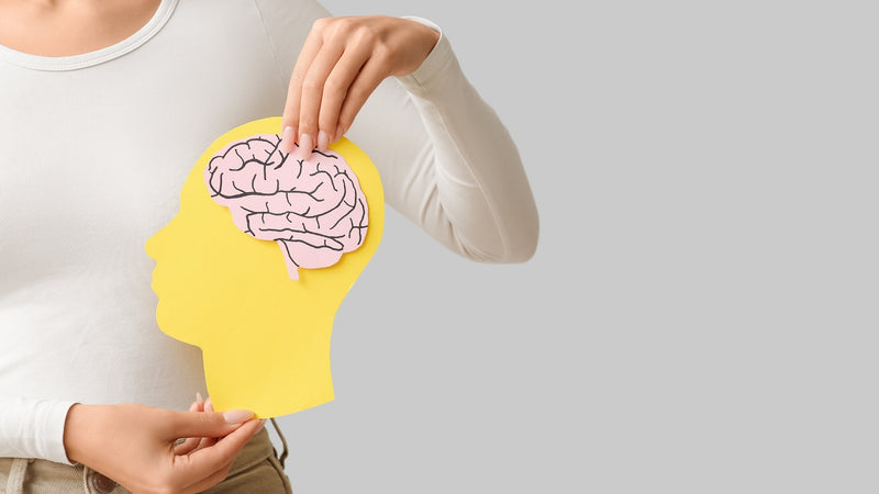 Día Mundial del Cerebro: Importancia