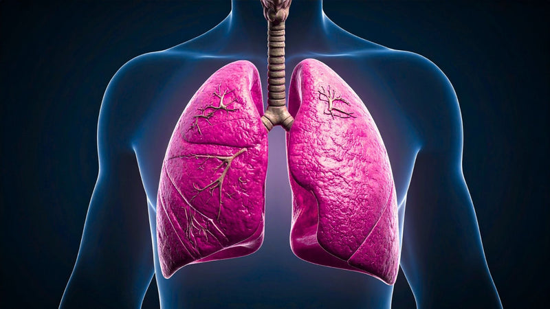 Día del Cáncer de Pulmón: Respira salud