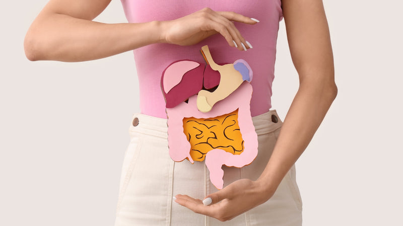 Equilibrio para tu Salud Digestiva