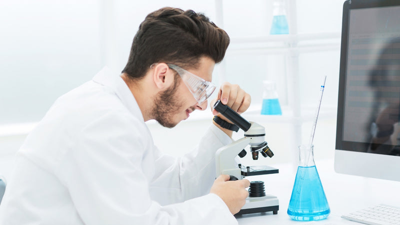 Inmunología: Cómo funciona el sistema que protege tu cuerpo