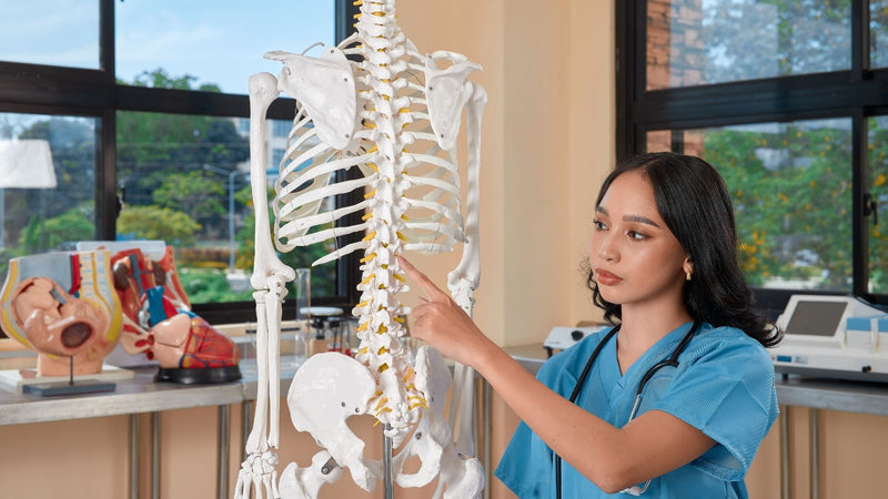 Mesotelioma Pleural: Claves para Comprender su Alcance y Efectos