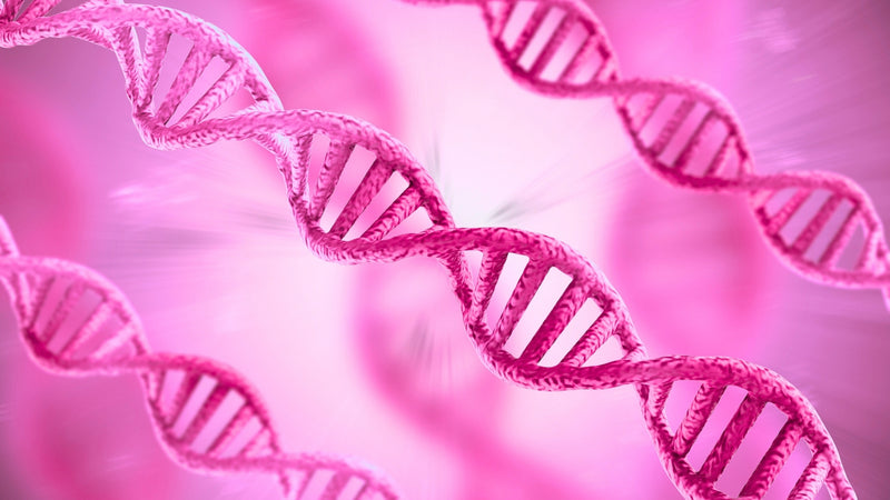 Rubinstein-Taybi: Más allá del diagnóstico genético